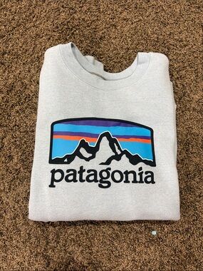 Patagonia Light Blue Crewneck with Blue and Purple Mountain Logo